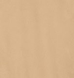 Suede shirt with alligator trimming #703