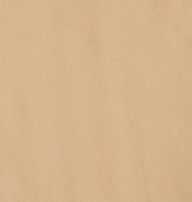 Suede shirt with alligator trimming #703