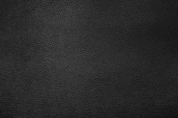 Lambskin Jacket with Alligator Front and Rowstone Stingray Trimmings #2088