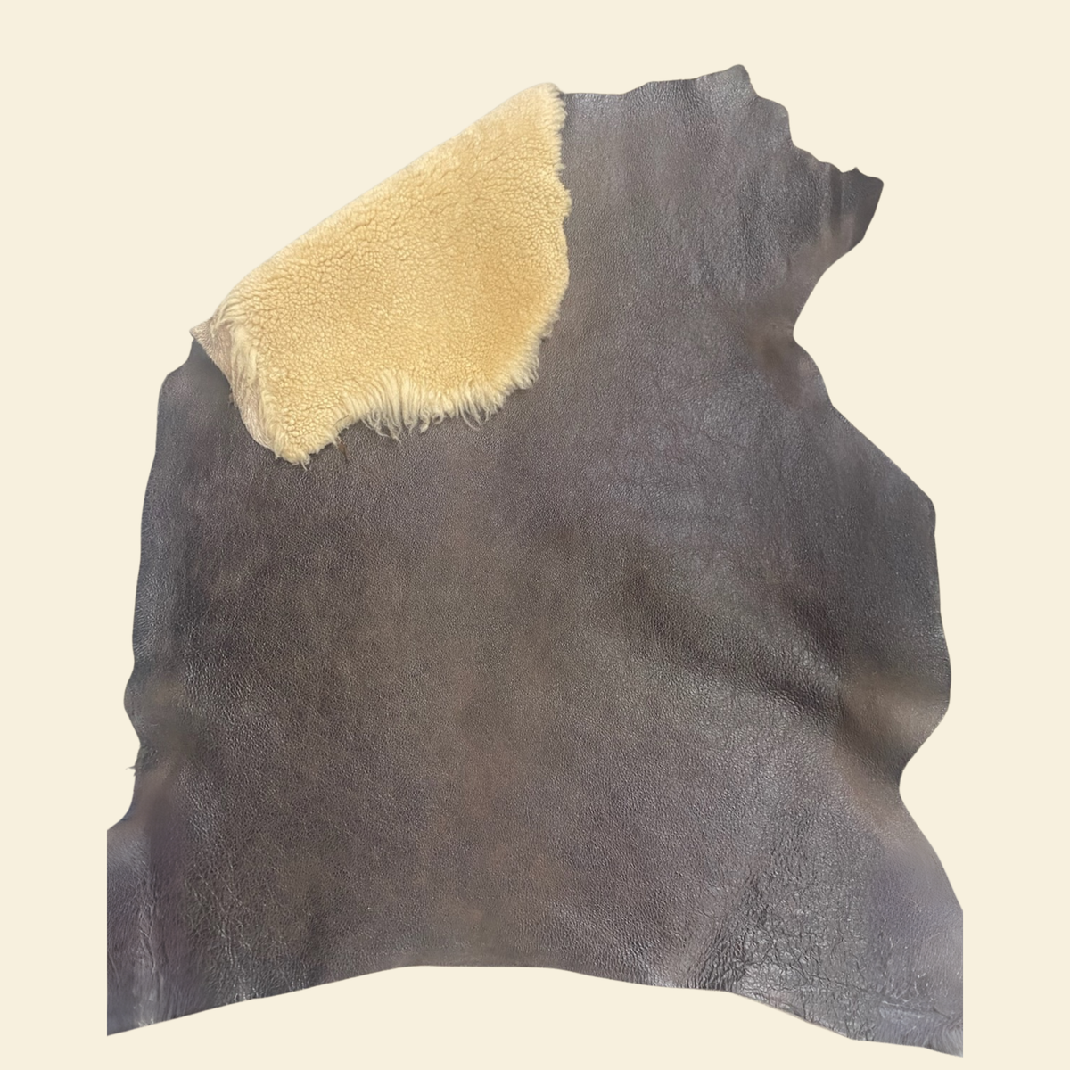Antique sheepskin swatch